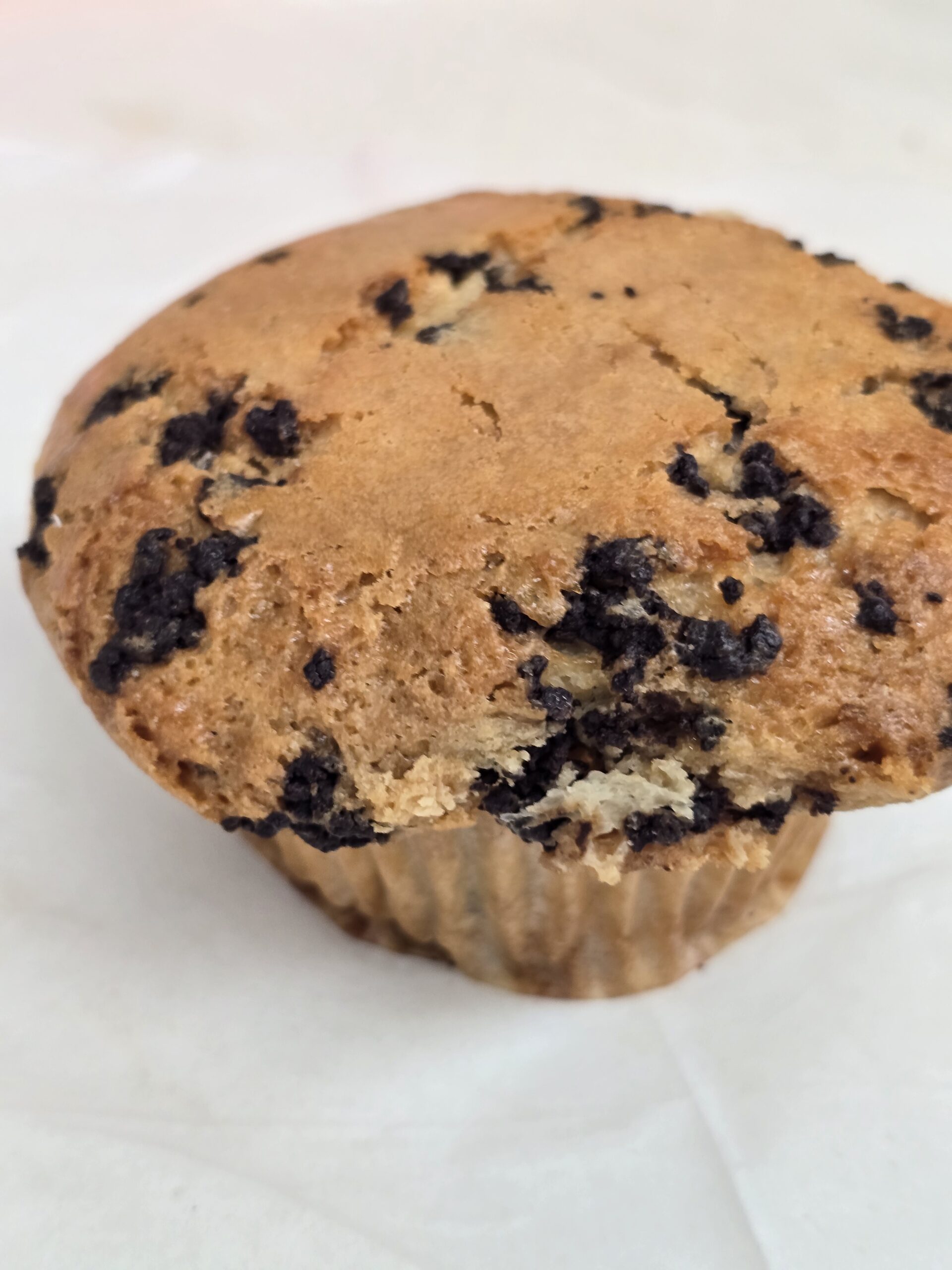 Chocolate Chip Muffin