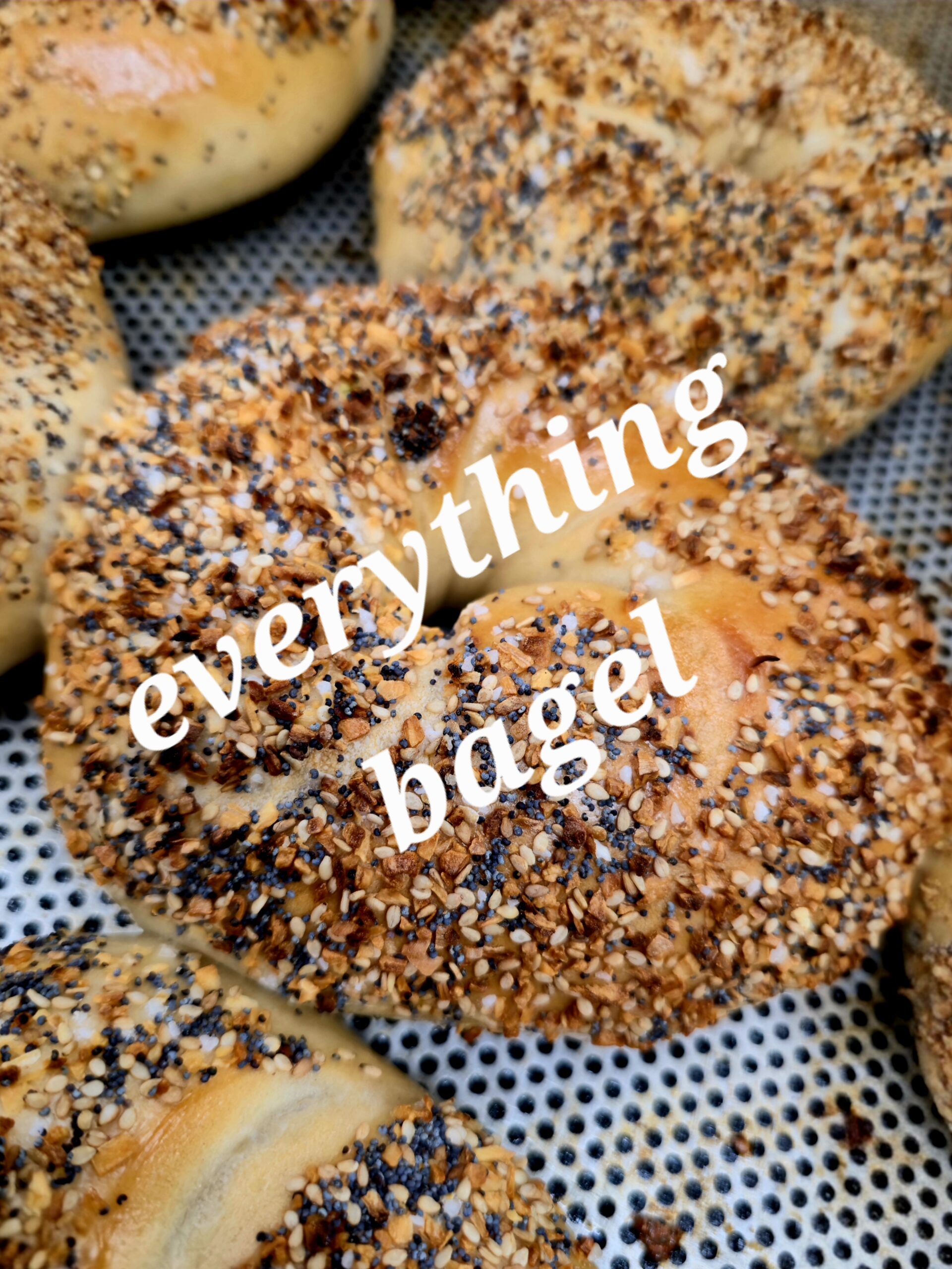 Single Bagels